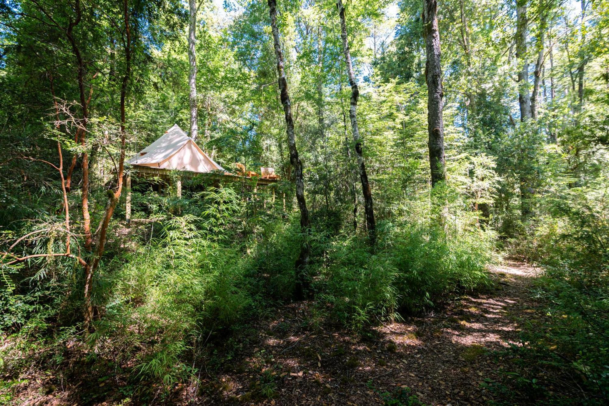 Tenda de luxo Glamping Dos Rios *